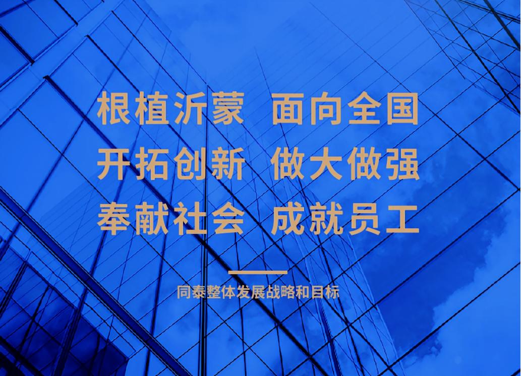 整体发展战略和目标